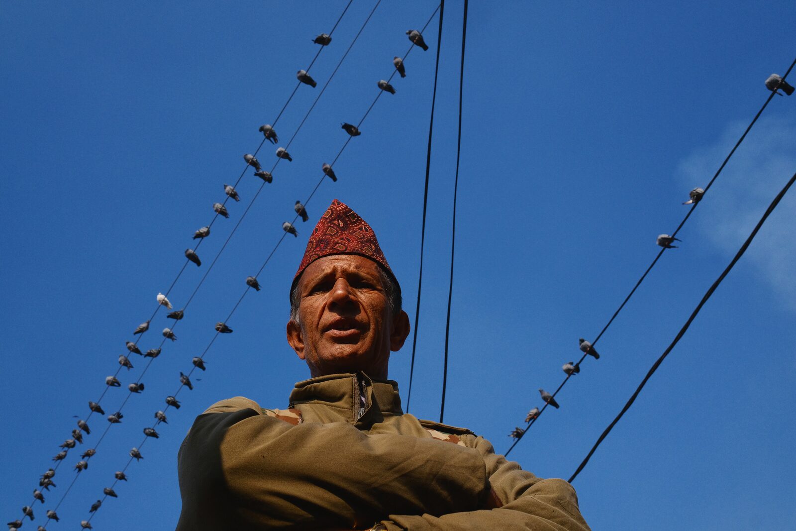 Man in a red cap under power lines full of birds — Angelo for ZELZAL