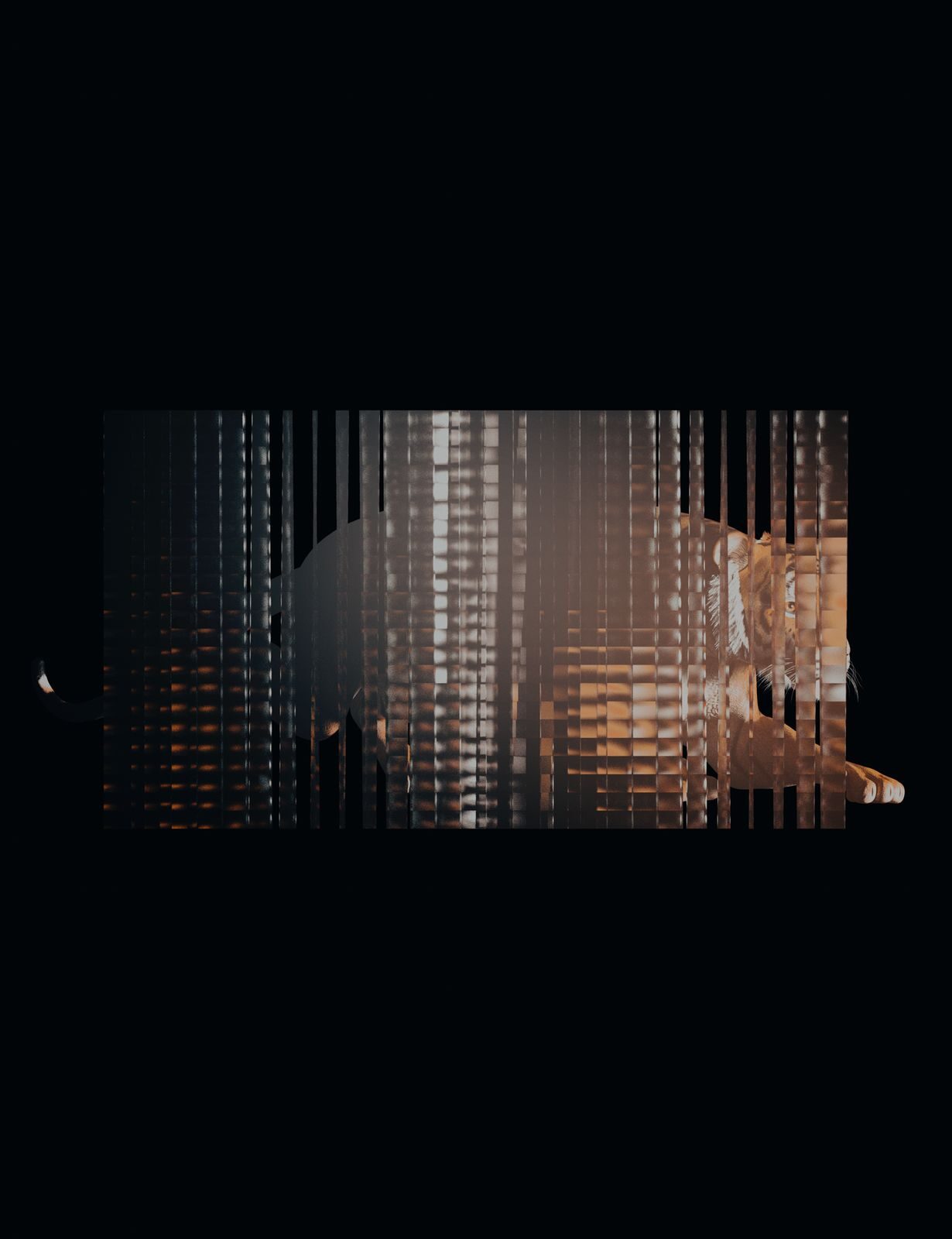 Poster with a striped glitch image on black — Mothanna Hussein for ZELZAL
