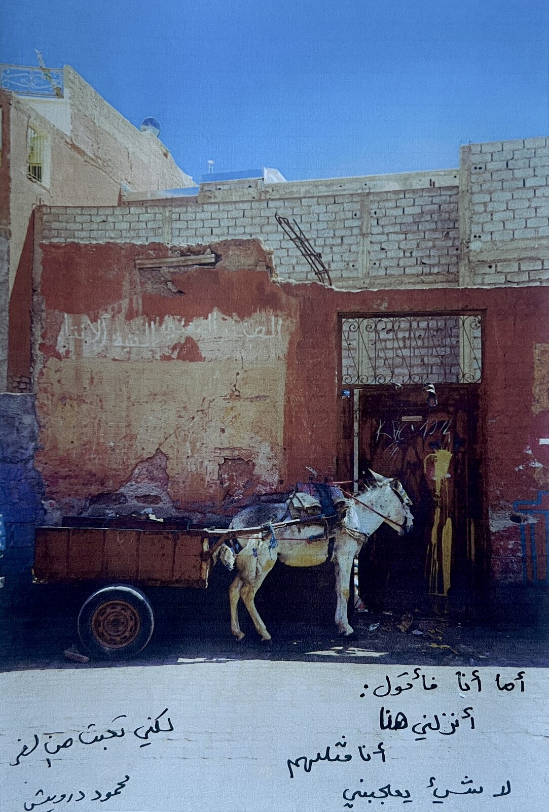 Donkey cart before a red wall, handwritten Arabic text below — Shams Al-Fekaiki for ZELZAL