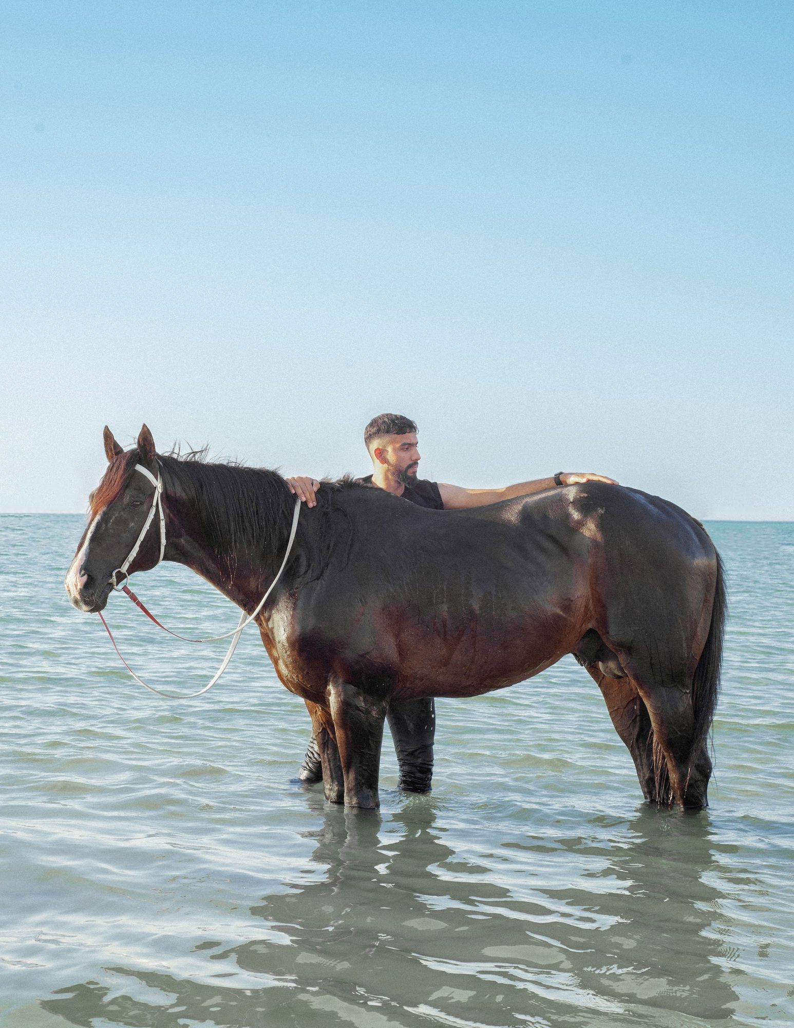 HELD WHILE MOVING · Ali Shehabi